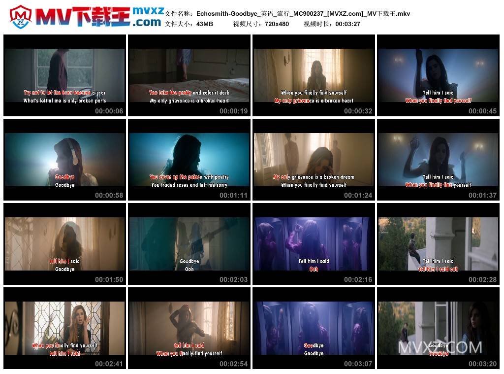 Echosmith-Goodbye_英语_流行_MC900237